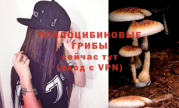 ECSTASY Балахна