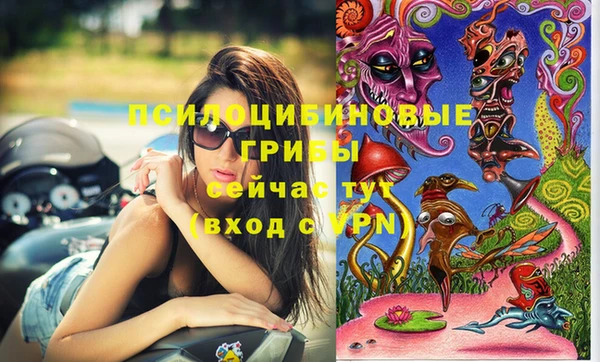 стафф Белокуриха