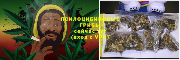 ГАЛЛЮЦИНОГЕННЫЕ ГРИБЫ Горно-Алтайск