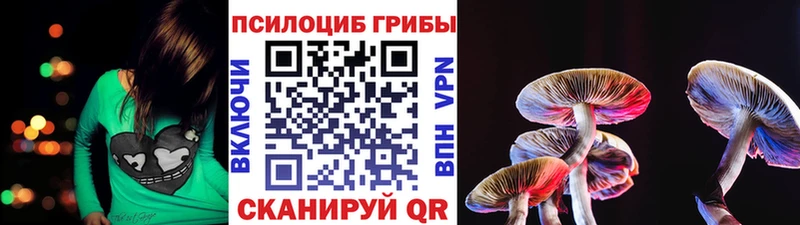 где купить наркотик  Буй  Галлюциногенные грибы мицелий 